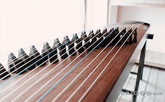 古筝购买知识课堂 十大品牌网指南