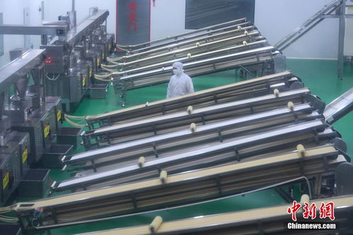 硬核复工新举措 湖南食品企业员工入厂需考古筝