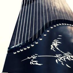 华韵古筝 琴韵流转，视觉华章——产品与店铺空间的美学呈现