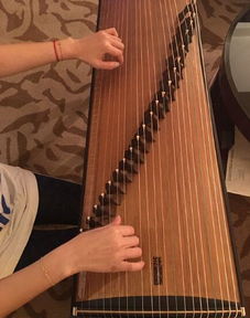 林心如春晚备战记 健身塑形与古筝韵律的双重奏